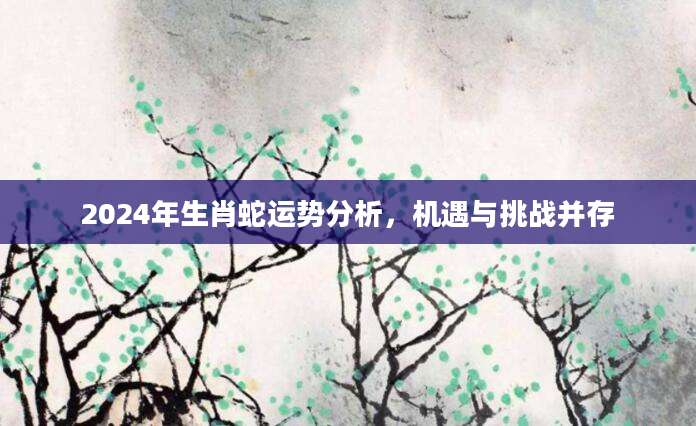 2024年生肖蛇运势分析，机遇与挑战并存