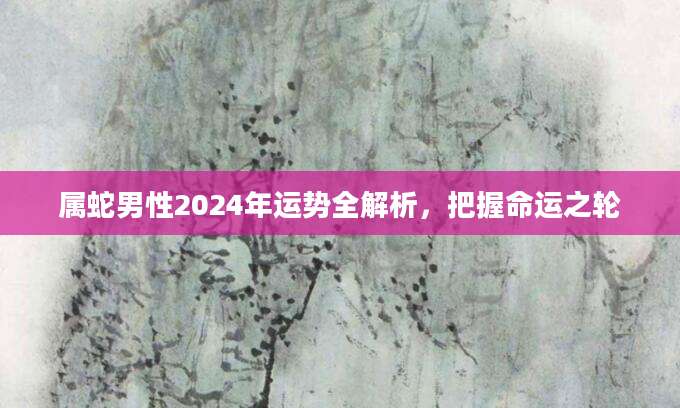属蛇男性2024年运势全解析，把握命运之轮