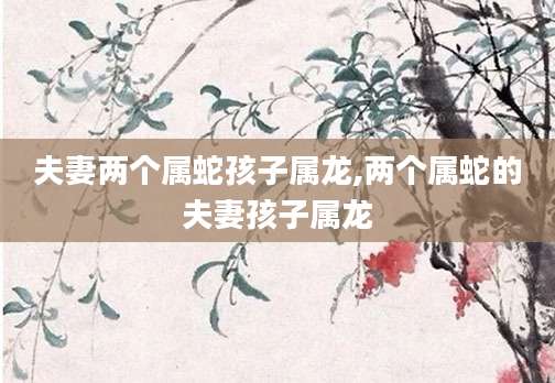 夫妻两个属蛇孩子属龙,两个属蛇的夫妻孩子属龙