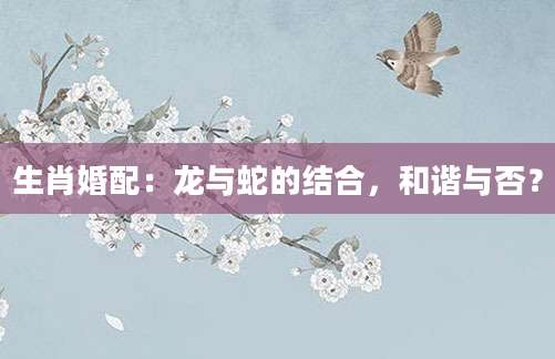 生肖婚配：龙与蛇的结合，和谐与否？
