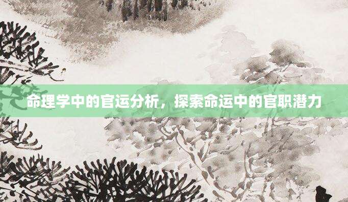 命理学中的官运分析，探索命运中的官职潜力