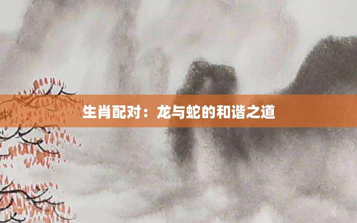 生肖配对：龙与蛇的和谐之道
