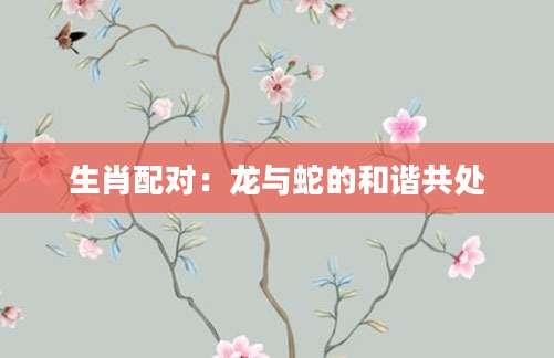 生肖配对：龙与蛇的和谐共处
