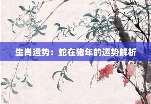 生肖运势：蛇在猪年的运势解析
