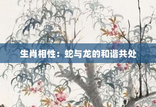 生肖相性：蛇与龙的和谐共处