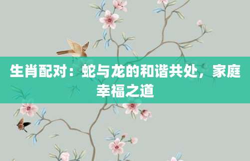 生肖配对：蛇与龙的和谐共处，家庭幸福之道