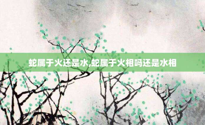 蛇属于火还是水,蛇属于火相吗还是水相