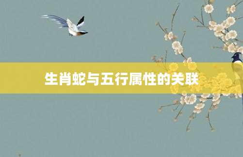 生肖蛇与五行属性的关联