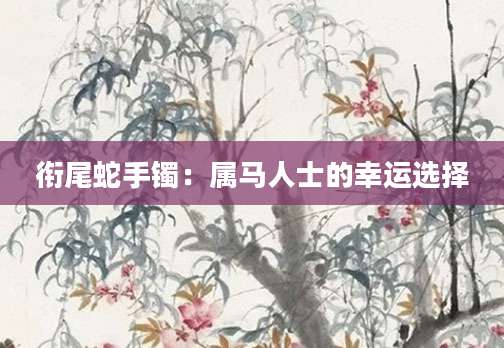 衔尾蛇手镯：属马人士的幸运选择
