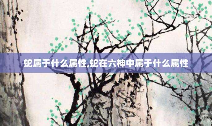 蛇属于什么属性,蛇在六神中属于什么属性
