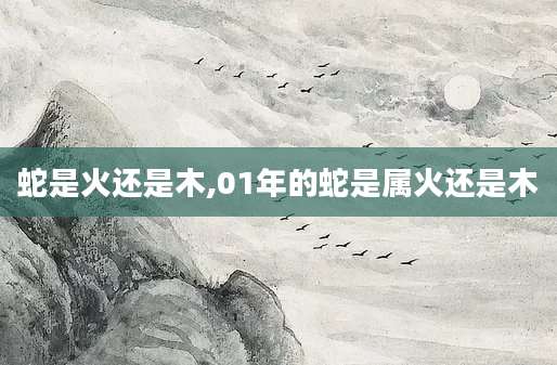 蛇是火还是木,01年的蛇是属火还是木
