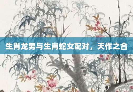 生肖龙男与生肖蛇女配对，天作之合