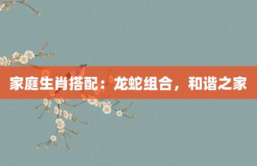 家庭生肖搭配：龙蛇组合，和谐之家