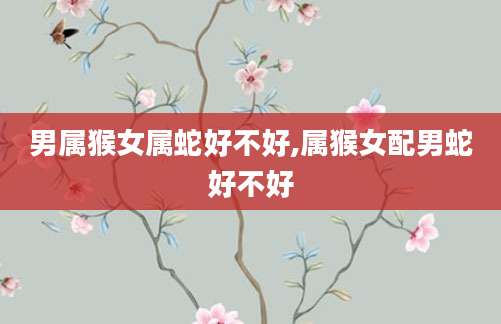 男属猴女属蛇好不好,属猴女配男蛇好不好