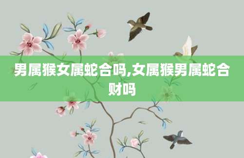 男属猴女属蛇合吗,女属猴男属蛇合财吗