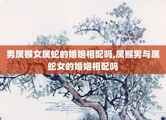 男属猴女属蛇的婚姻相配吗,属猴男与属蛇女的婚姻相配吗