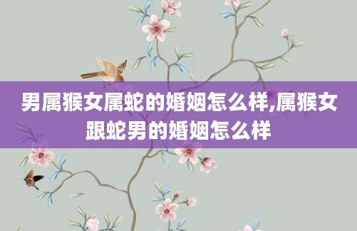 男属猴女属蛇的婚姻怎么样,属猴女跟蛇男的婚姻怎么样