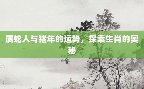 属蛇人与猪年的运势，探索生肖的奥秘