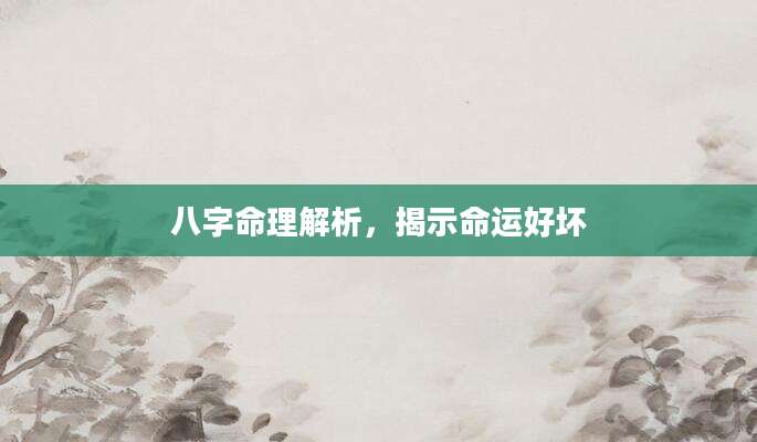 八字命理解析，揭示命运好坏