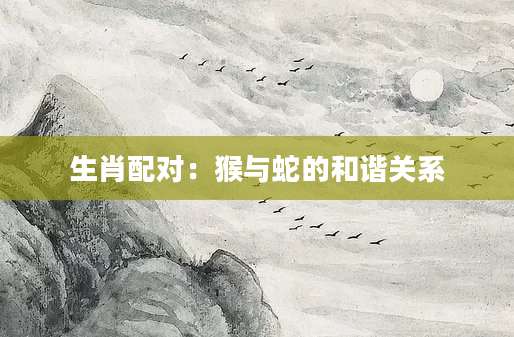 生肖配对：猴与蛇的和谐关系