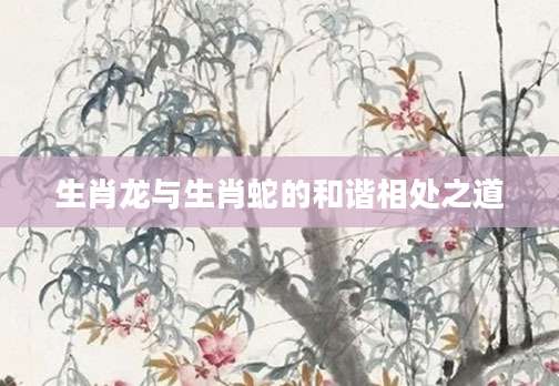 生肖龙与生肖蛇的和谐相处之道