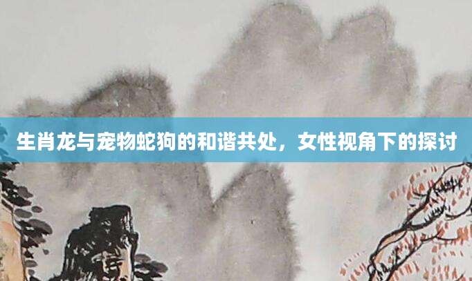 生肖龙与宠物蛇狗的和谐共处，女性视角下的探讨
