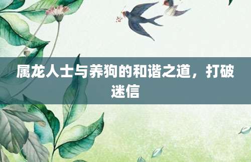 属龙人士与养狗的和谐之道，打破迷信
