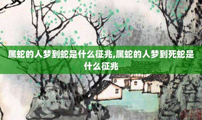属蛇的人梦到蛇是什么征兆,属蛇的人梦到死蛇是什么征兆