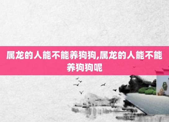 属龙的人能不能养狗狗,属龙的人能不能养狗狗呢