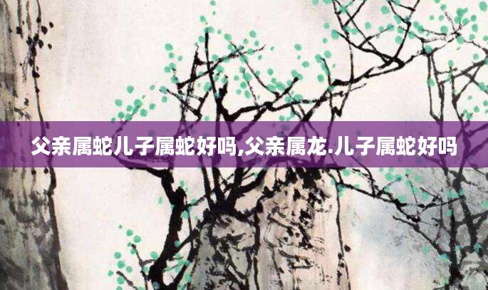父亲属蛇儿子属蛇好吗,父亲属龙.儿子属蛇好吗