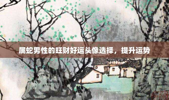 属蛇男性的旺财好运头像选择，提升运势