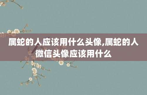 属蛇的人应该用什么头像,属蛇的人微信头像应该用什么
