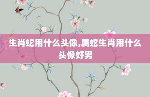 生肖蛇用什么头像,属蛇生肖用什么头像好男