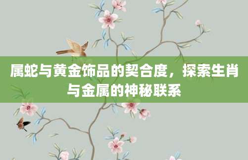 属蛇与黄金饰品的契合度，探索生肖与金属的神秘联系