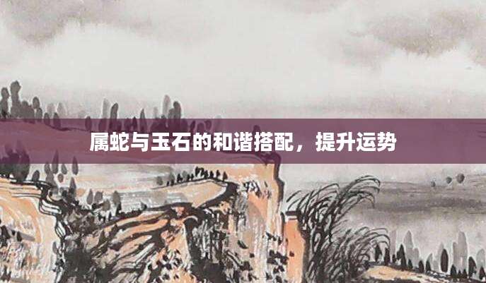 属蛇与玉石的和谐搭配，提升运势