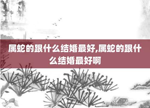 属蛇的跟什么结婚最好,属蛇的跟什么结婚最好啊