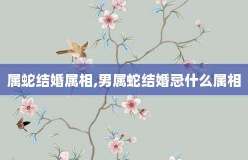 属蛇结婚属相,男属蛇结婚忌什么属相