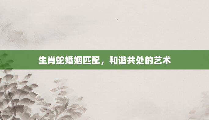 生肖蛇婚姻匹配，和谐共处的艺术