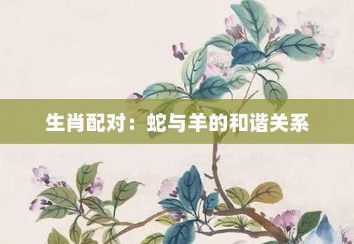 生肖配对：蛇与羊的和谐关系
