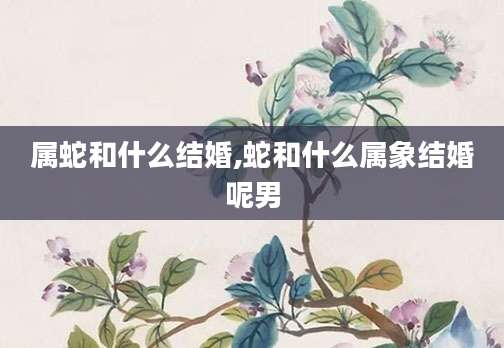 属蛇和什么结婚,蛇和什么属象结婚呢男