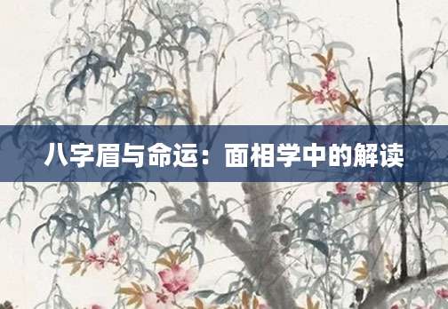 八字眉与命运：面相学中的解读
