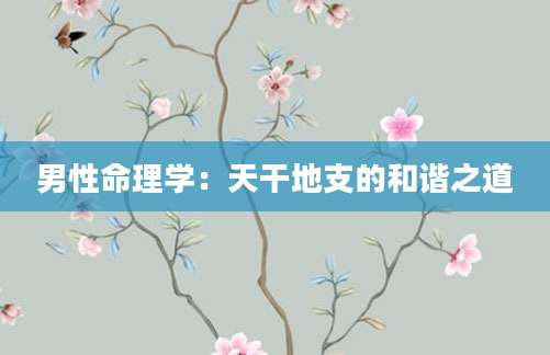 男性命理学：天干地支的和谐之道