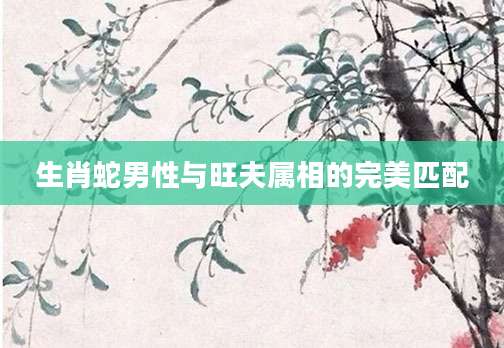 生肖蛇男性与旺夫属相的完美匹配