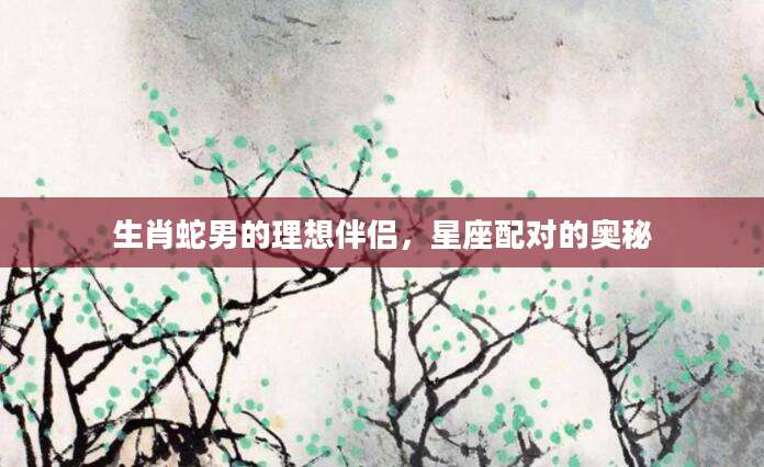 生肖蛇男的理想伴侣，星座配对的奥秘