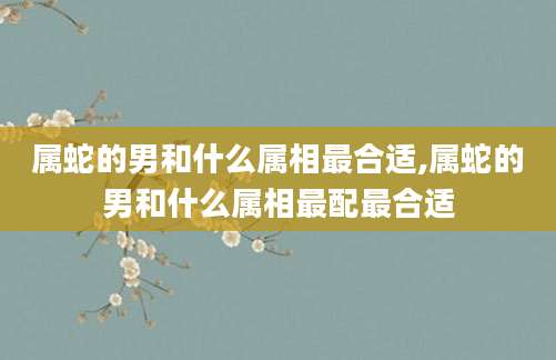 属蛇的男和什么属相最合适,属蛇的男和什么属相最配最合适