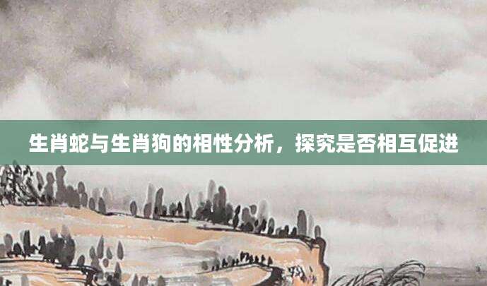生肖蛇与生肖狗的相性分析，探究是否相互促进
