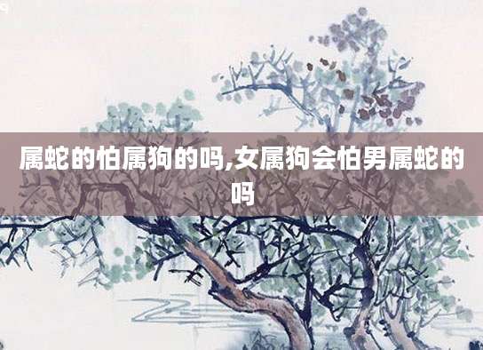 属蛇的怕属狗的吗,女属狗会怕男属蛇的吗
