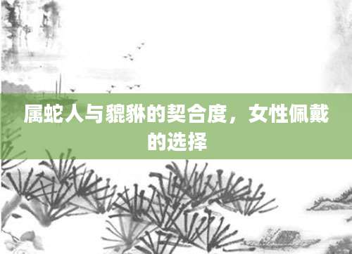 属蛇人与貔貅的契合度，女性佩戴的选择