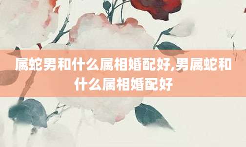 属蛇男和什么属相婚配好,男属蛇和什么属相婚配好