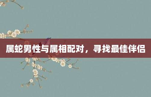 属蛇男性与属相配对，寻找最佳伴侣